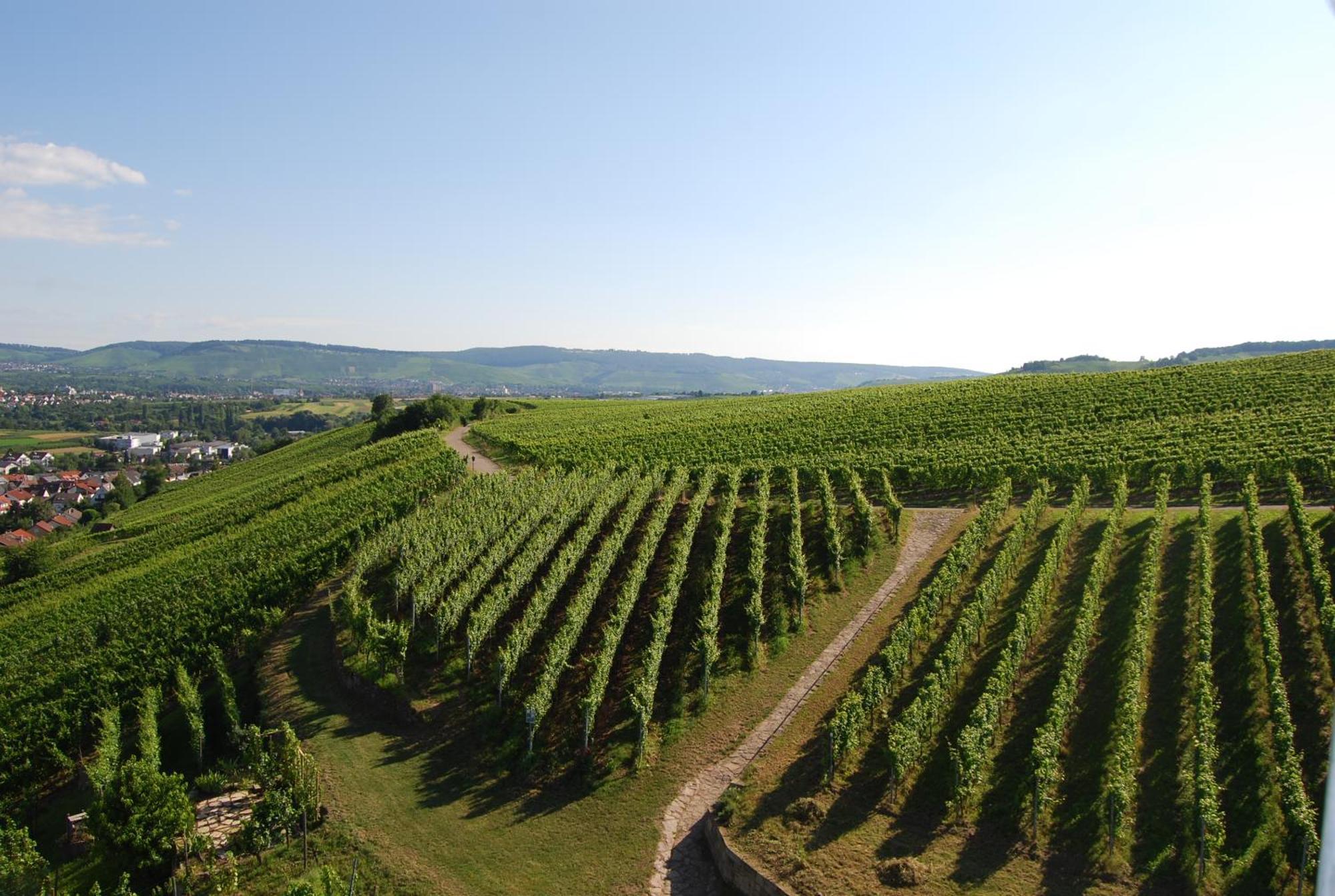 Unter Der Yburg Stetten Stetten  Buitenkant foto