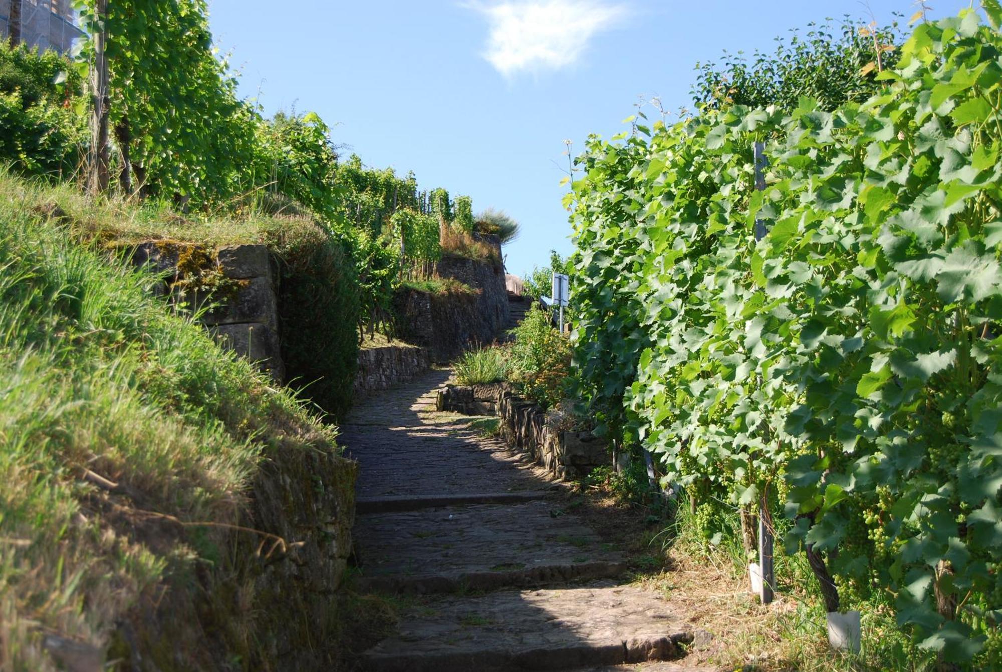 Unter Der Yburg Stetten Stetten  Buitenkant foto