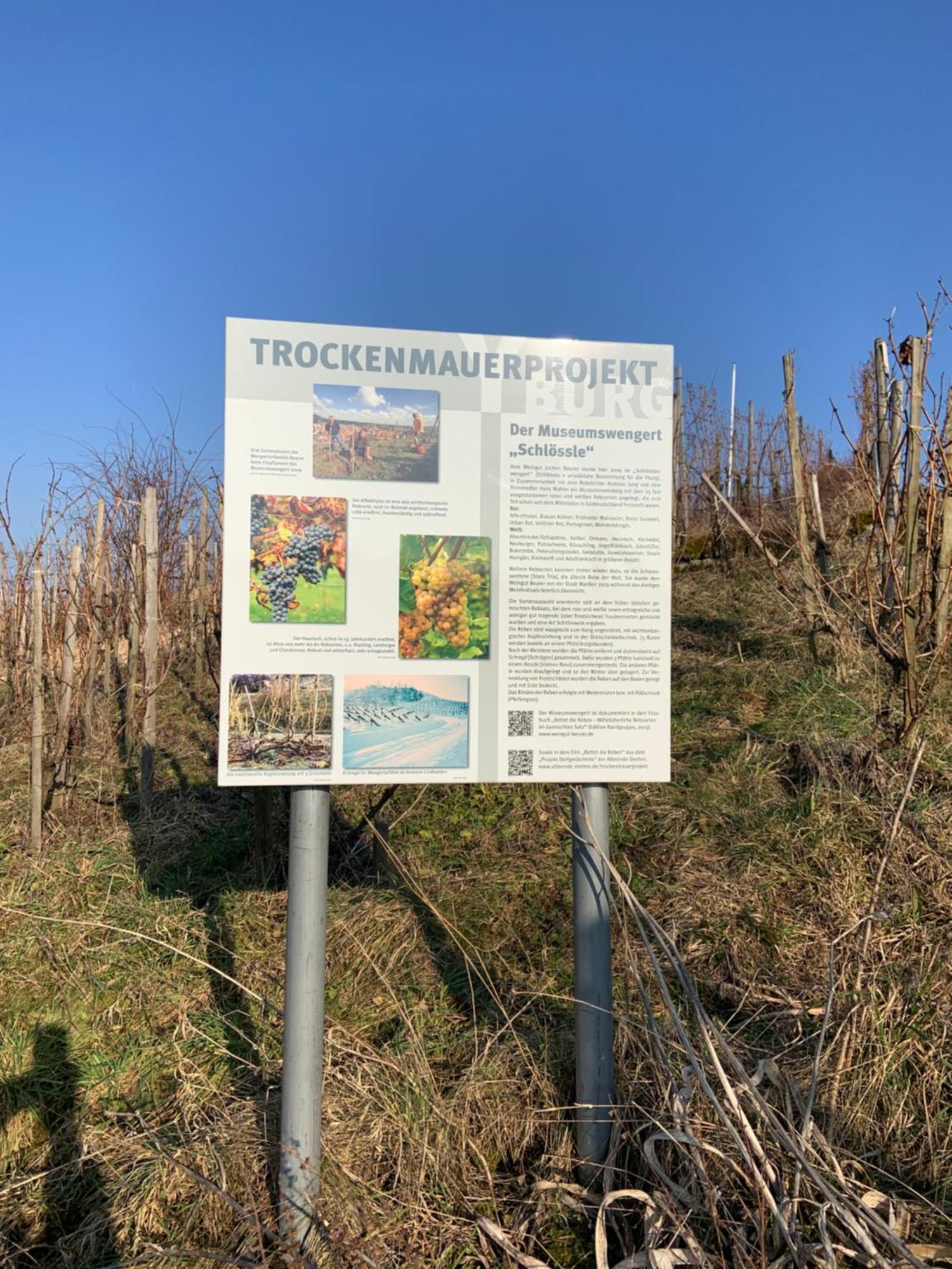 Unter Der Yburg Stetten Stetten  Buitenkant foto