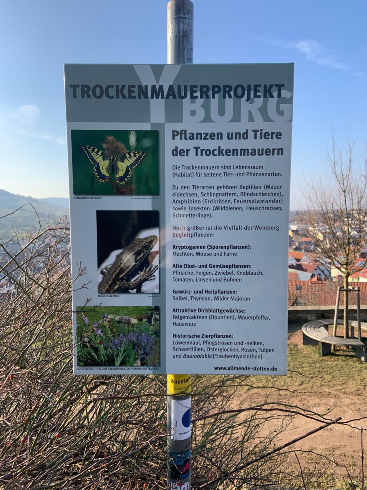 Unter Der Yburg Stetten Stetten  Buitenkant foto