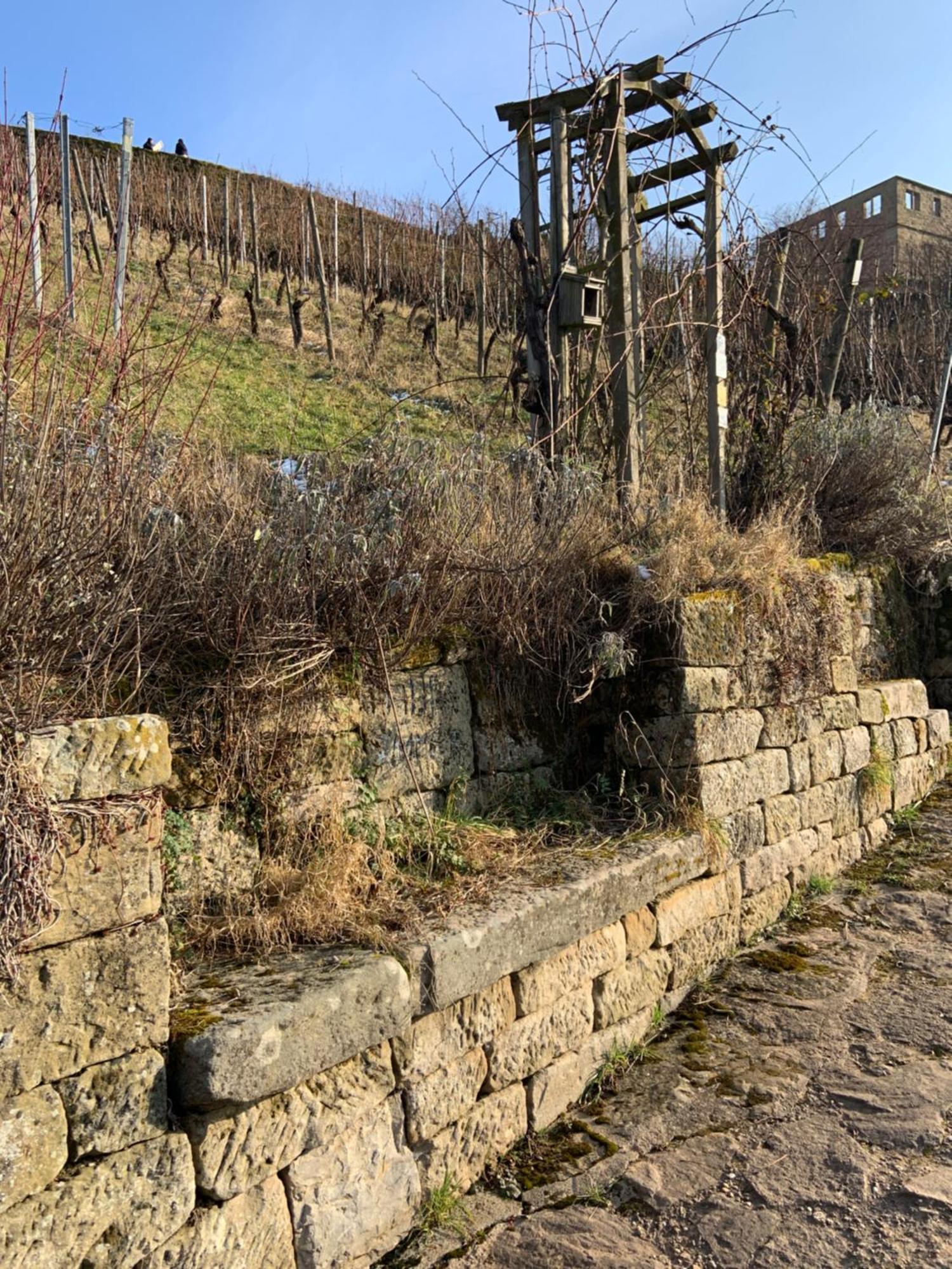 Unter Der Yburg Stetten Stetten  Buitenkant foto